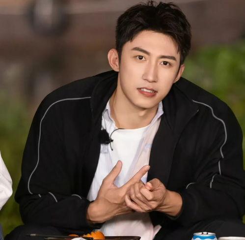 黄景瑜圈内爆料,一场关于友情与利益的较量 第2张 黄景瑜圈内爆料,一场关于友情与利益的较量 第2张