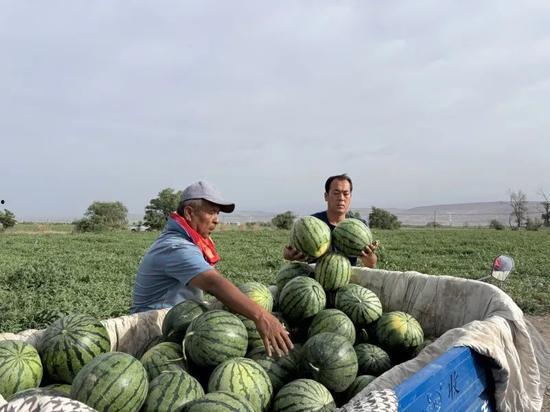 遂川免费吃瓜,畅享清凉夏日时光 第3张 遂川免费吃瓜,畅享清凉夏日时光 第3张